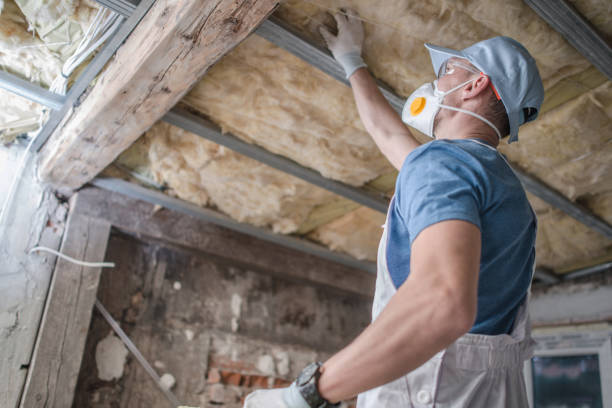 Best Insulation Installation Services in Hutchinson, MN