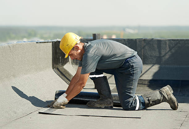 Best Insulation Installation Services in Hutchinson, MN