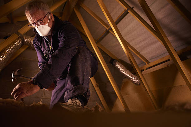 Best Commercial Insulation in Hutchinson, MN